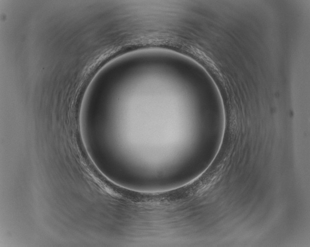 X0000070180673200606021033