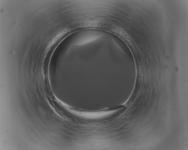 X0000070180674200606021033