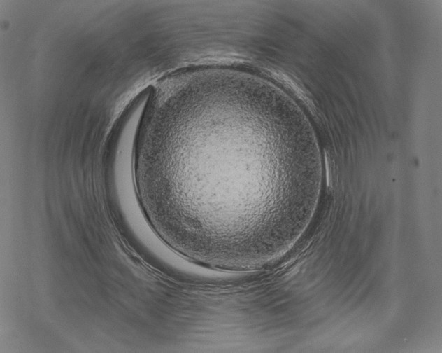 X0000070180675200606021033