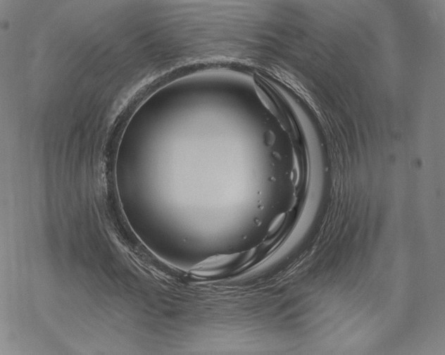 X0000070180676200606021033