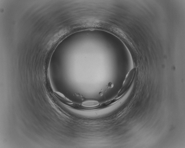 X0000070180677200606021033