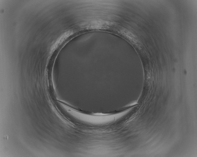 X0000070180678200606021033