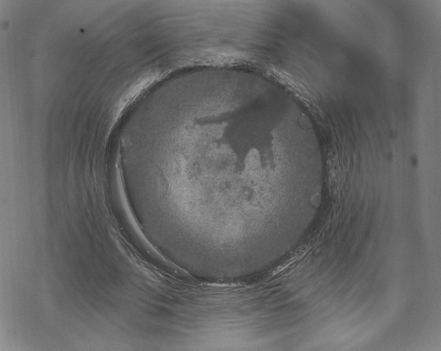 X0000070180679200606021033