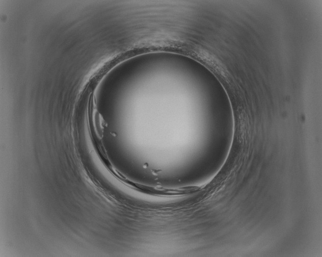 X0000070180680200606021033