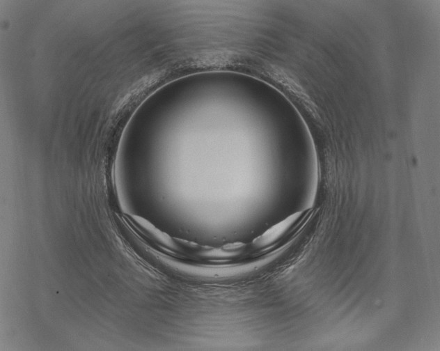 X0000070180681200606021033