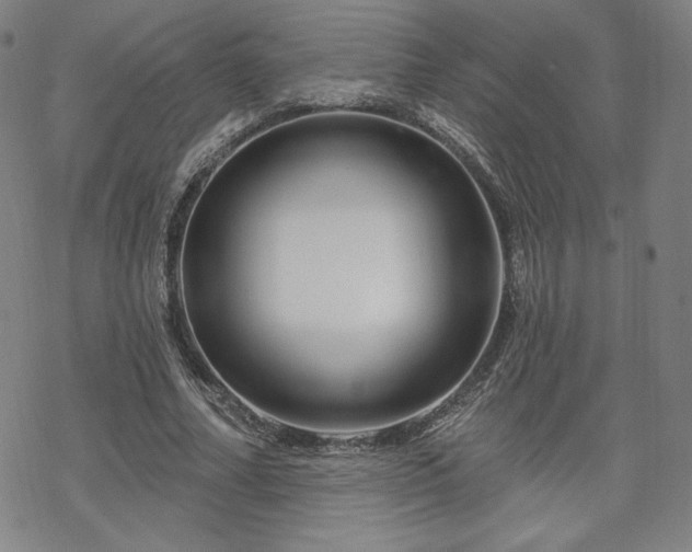 X0000070180682200606021033