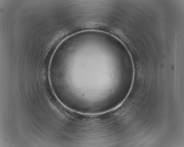 X0000070180683200606021033