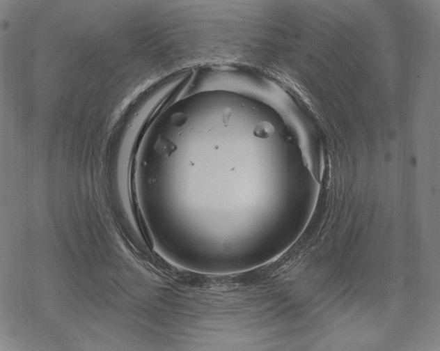 X0000070180684200606021033