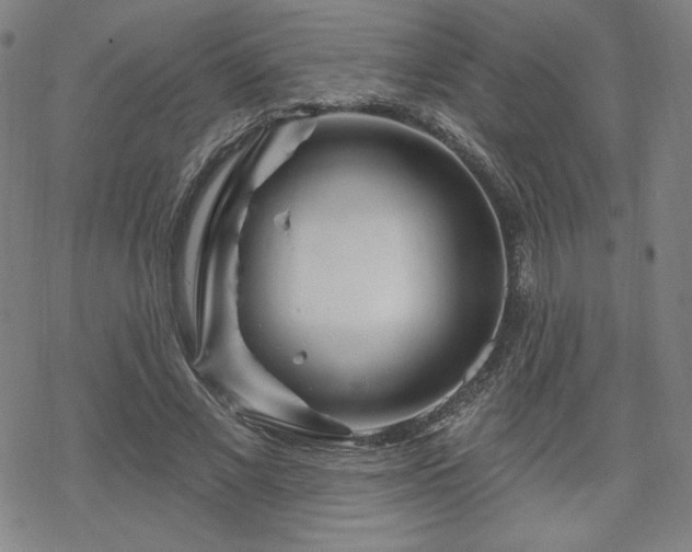 X0000070180685200606021033