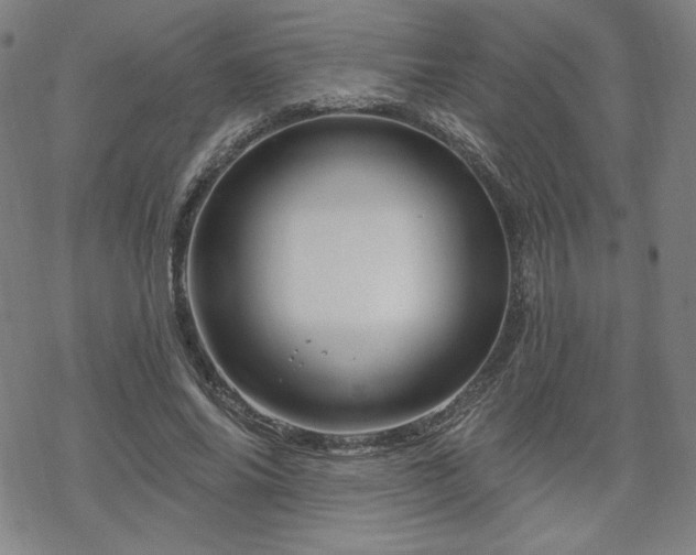 X0000070180686200606021033