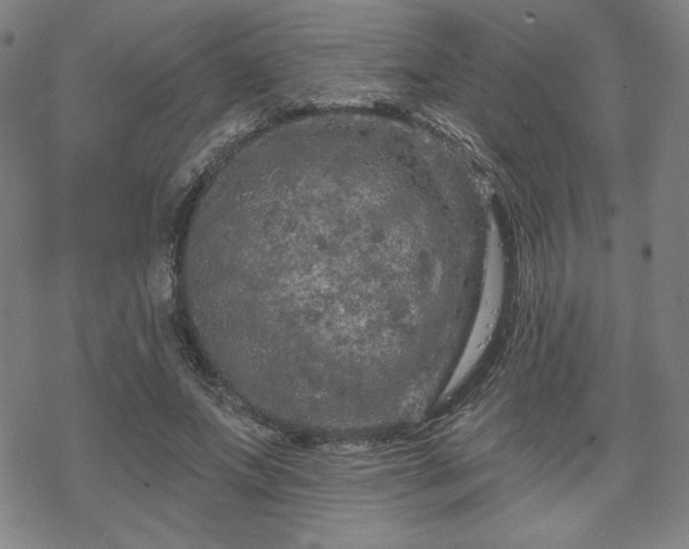 X0000070180687200606021033