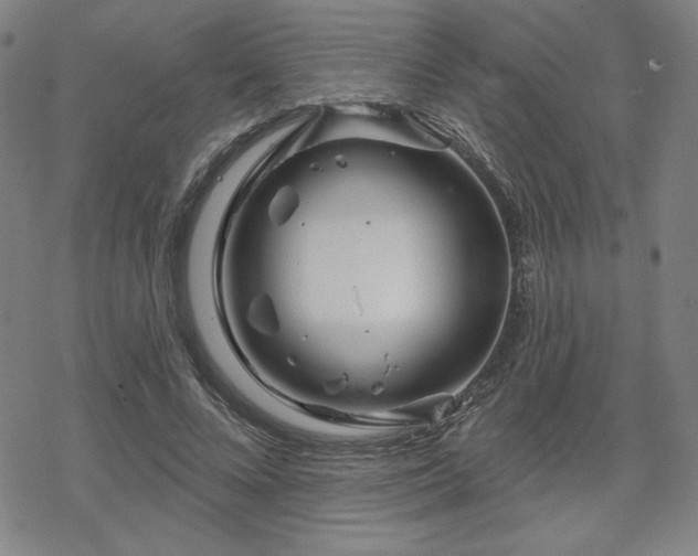 X0000070180688200606021033