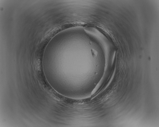 X0000070180689200606021033