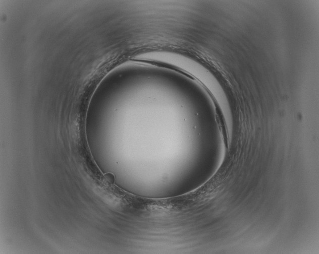 X0000070180690200606021033