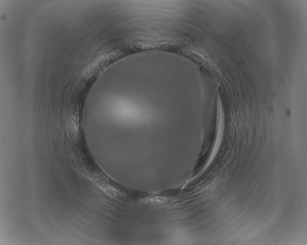 X0000070180691200606021033