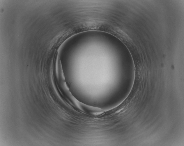 X0000070180693200606021033