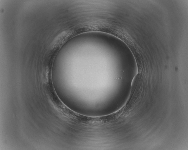 X0000070180694200606021033