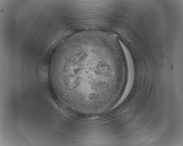 X0000070180695200606021033