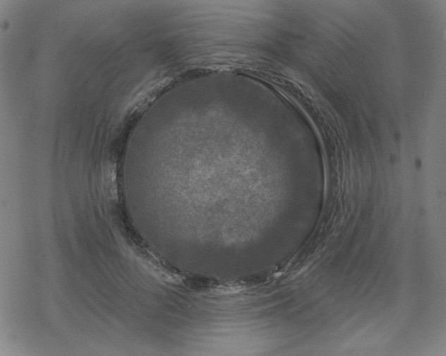 X0000070180696200606021033