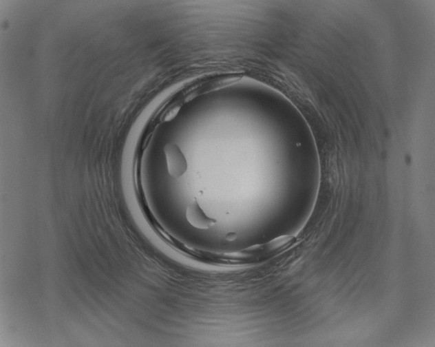 X0000070180697200606021033