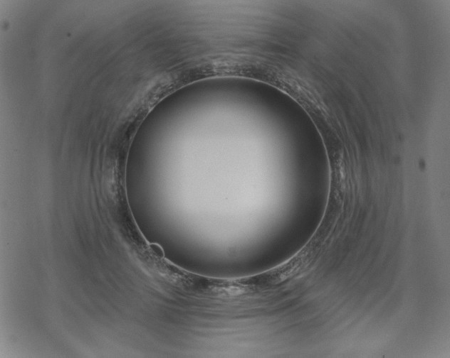 X0000070180698200606021033