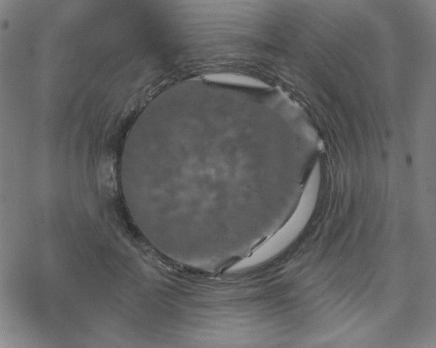 X0000070180699200606021033