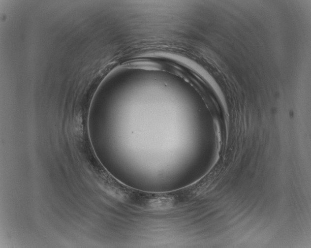 X0000070180700200606021033