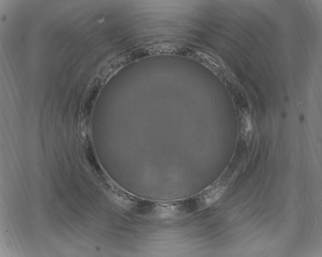 X0000070180701200606021033