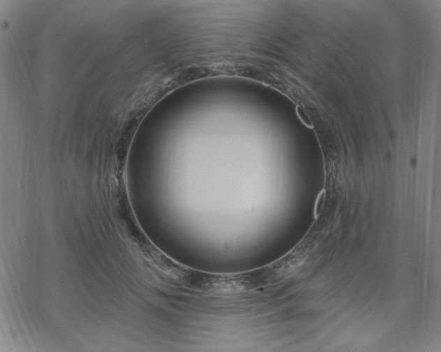 X0000070180702200606021032