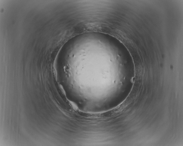 X0000070180703200606021032