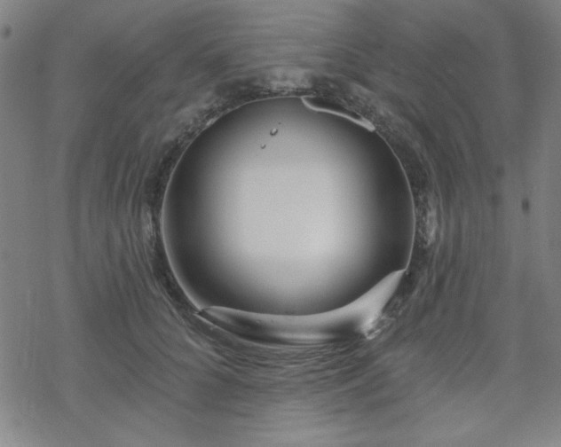 X0000070180704200606021032