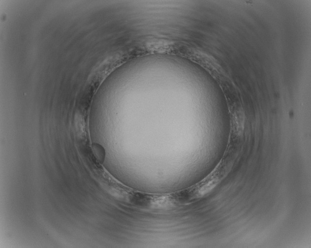 X0000070180705200606021032