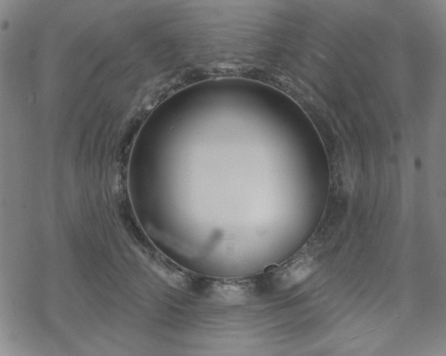 X0000070180706200606021032