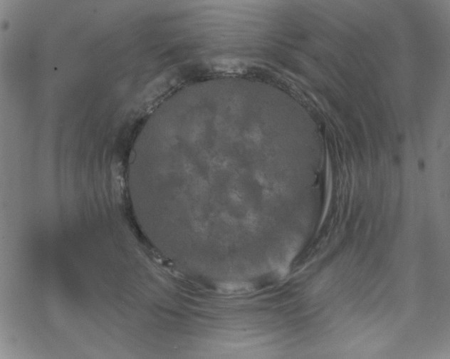 X0000070180707200606021032