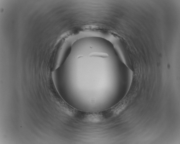 X0000070180708200606021032