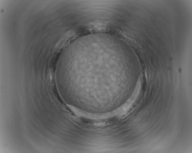 X0000070180709200606021032