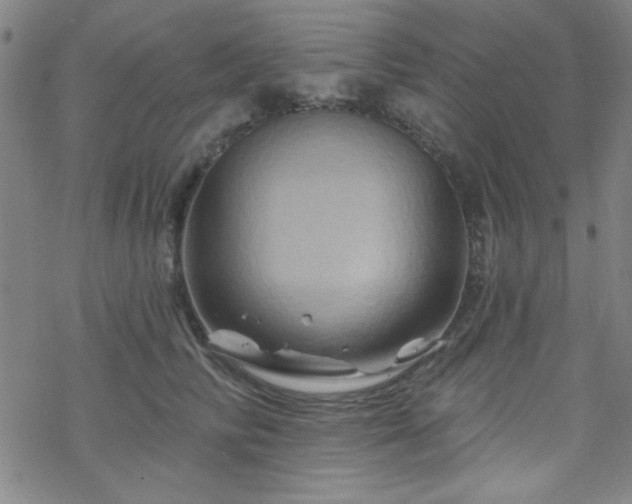 X0000070180710200606021032