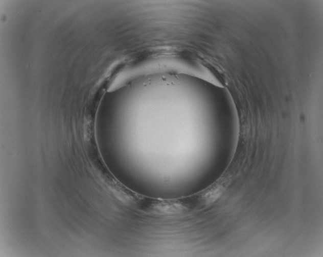 X0000070180712200606021032