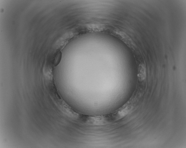 X0000070180713200606021032