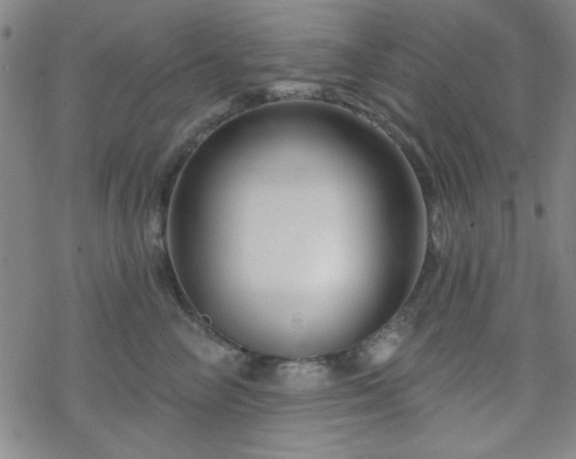 X0000070180714200606021032