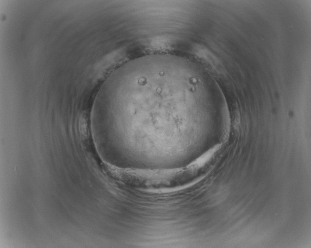 X0000070180715200606021032