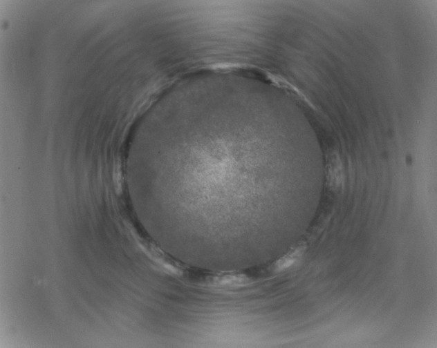 X0000070180716200606021032