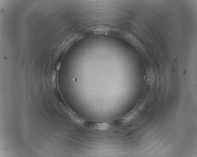 X0000070180717200606021032