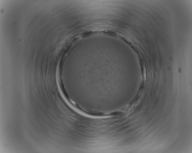 X0000070180718200606021032