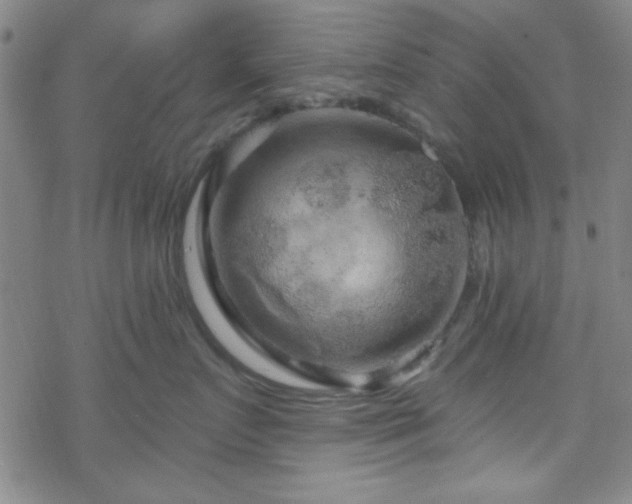 X0000070180719200606021032