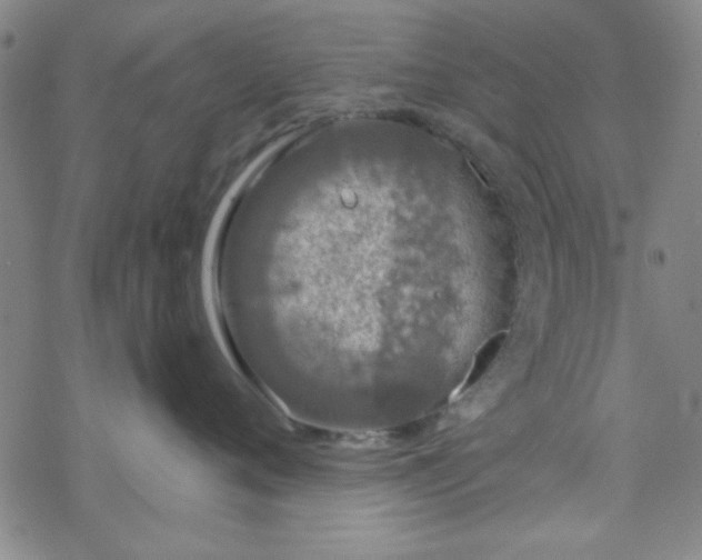 X0000070180720200606021032