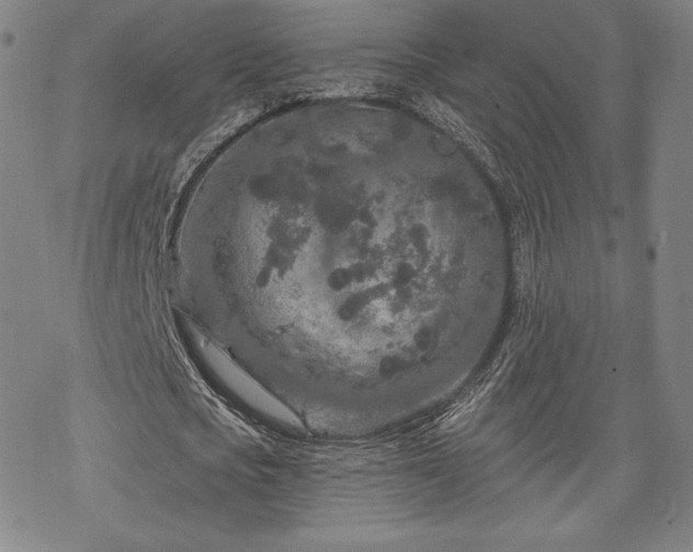 X0000070180721200606021031