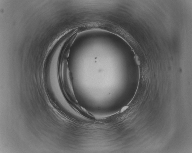 X0000070180722200606021031