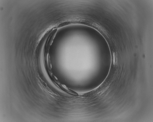 X0000070180723200606021031