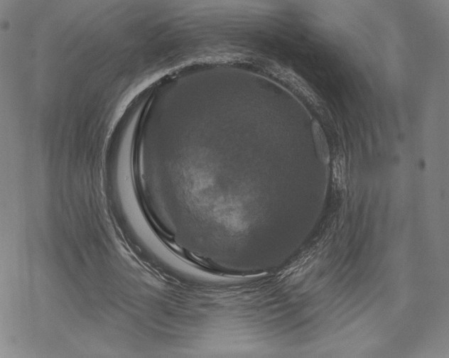 X0000070180724200606021031